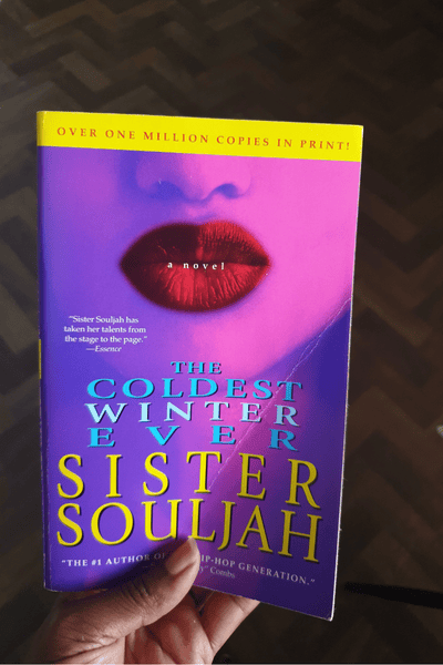 the coldest winter ever book